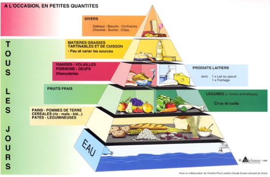 food pyramid in french